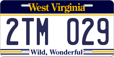 WV license plate 2TM029