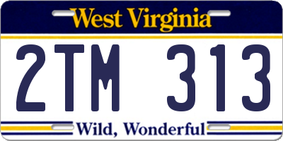 WV license plate 2TM313