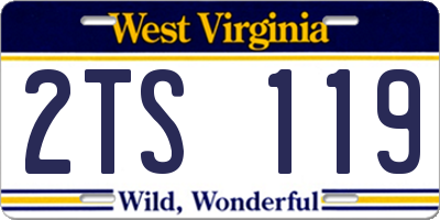 WV license plate 2TS119