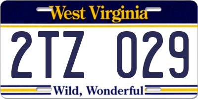 WV license plate 2TZ029