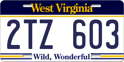 WV license plate 2TZ603
