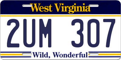 WV license plate 2UM307