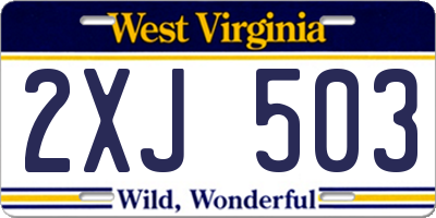 WV license plate 2XJ503
