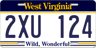 WV license plate 2XU124