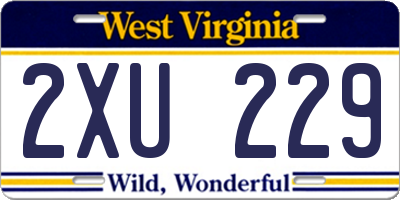 WV license plate 2XU229