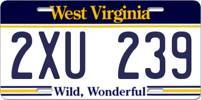 WV license plate 2XU239
