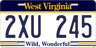WV license plate 2XU245
