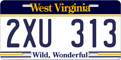 WV license plate 2XU313