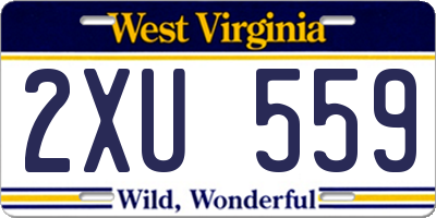 WV license plate 2XU559