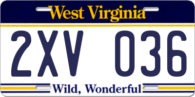 WV license plate 2XV036
