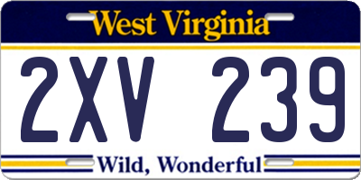 WV license plate 2XV239