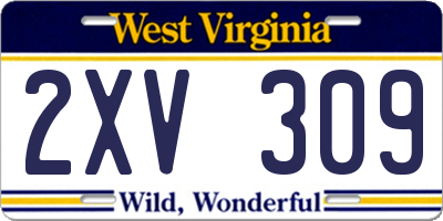 WV license plate 2XV309