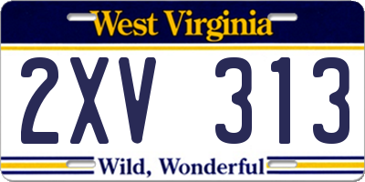 WV license plate 2XV313