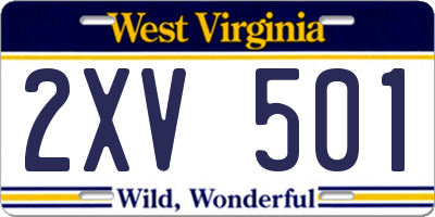 WV license plate 2XV501