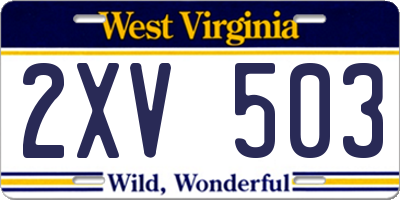 WV license plate 2XV503