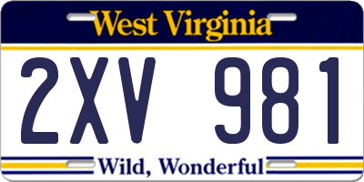 WV license plate 2XV981