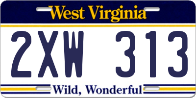 WV license plate 2XW313