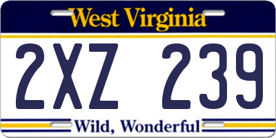 WV license plate 2XZ239