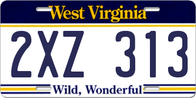 WV license plate 2XZ313
