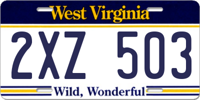 WV license plate 2XZ503