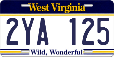 WV license plate 2YA125
