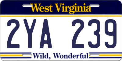 WV license plate 2YA239