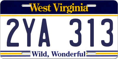 WV license plate 2YA313
