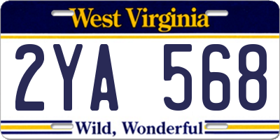WV license plate 2YA568