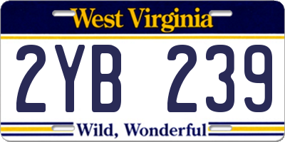 WV license plate 2YB239