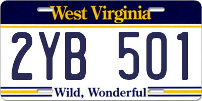 WV license plate 2YB501