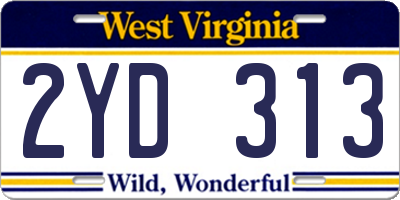 WV license plate 2YD313