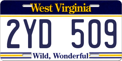 WV license plate 2YD509