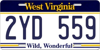 WV license plate 2YD559