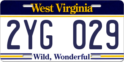 WV license plate 2YG029