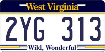WV license plate 2YG313