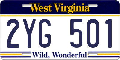 WV license plate 2YG501