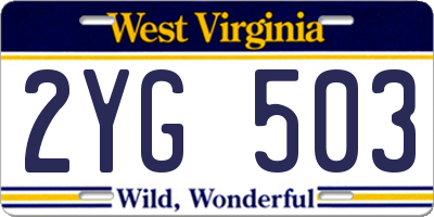 WV license plate 2YG503