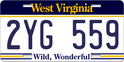 WV license plate 2YG559