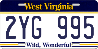 WV license plate 2YG995