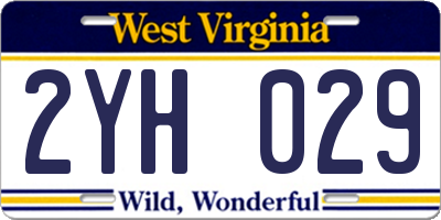 WV license plate 2YH029