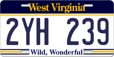 WV license plate 2YH239