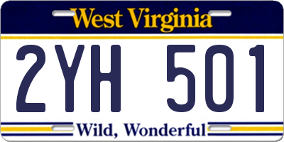 WV license plate 2YH501