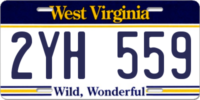 WV license plate 2YH559