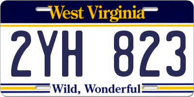 WV license plate 2YH823