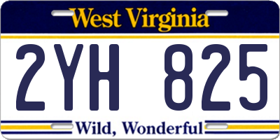 WV license plate 2YH825