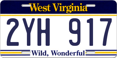 WV license plate 2YH917