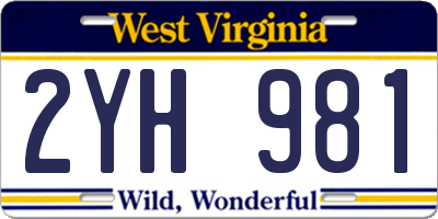 WV license plate 2YH981
