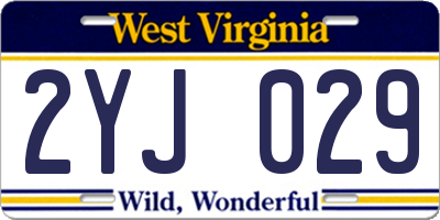 WV license plate 2YJ029