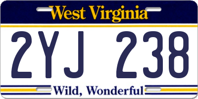 WV license plate 2YJ238