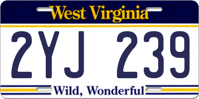 WV license plate 2YJ239